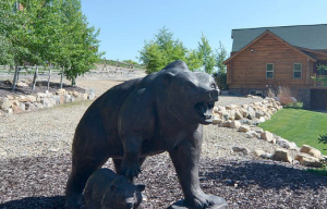 Blackberry Cabin Grizzly Bear